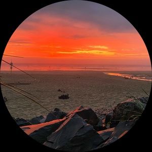 Meet your Posher, Haritha